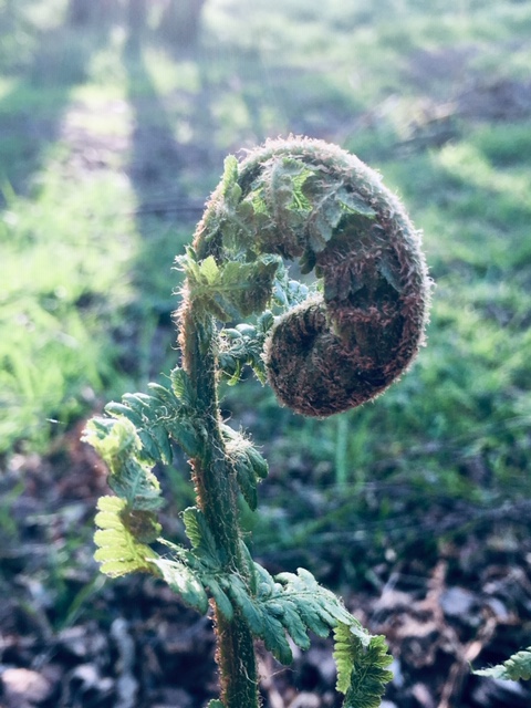 A time to grow