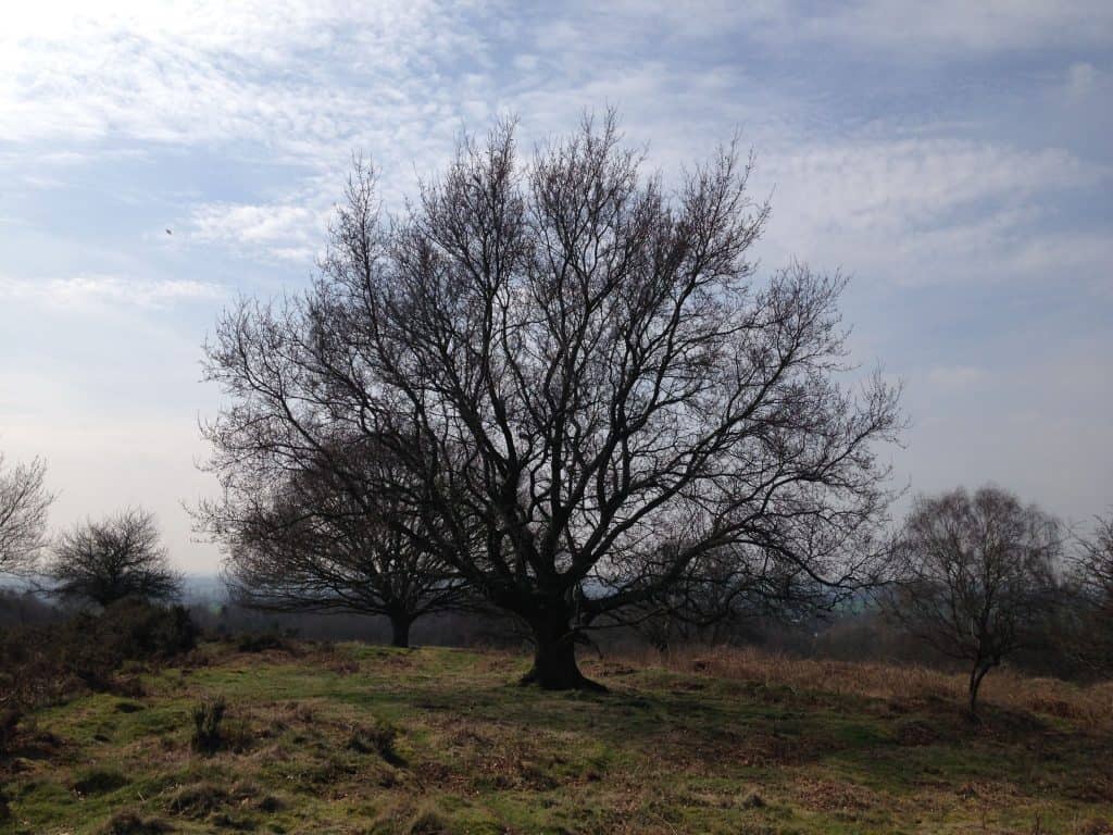 Meditation: The Safe Space